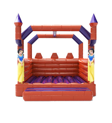 Le parc de jeux pour enfants gonflables