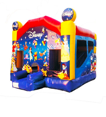 Château de saut gonflable Disneyland avec toboggans pour enfants