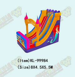 Les enfants amusement parc gonflable Desneyland Princesse toboggan Pour la location