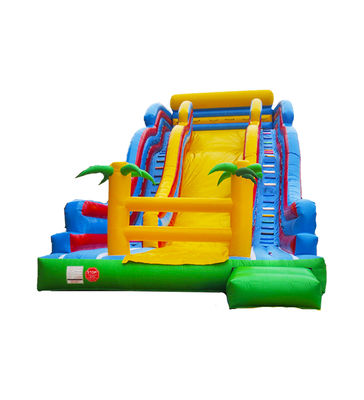 Parcs d'attractions pour enfants Grand toboggan gonflable avec des palmiers