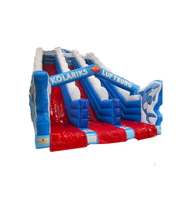 Jeux pour les enfants Dolphin double voie glisser-déposer à louer