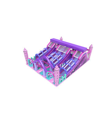 Pourpre grand toboggan enfants parc d'attractions terrain de jeux gonflable